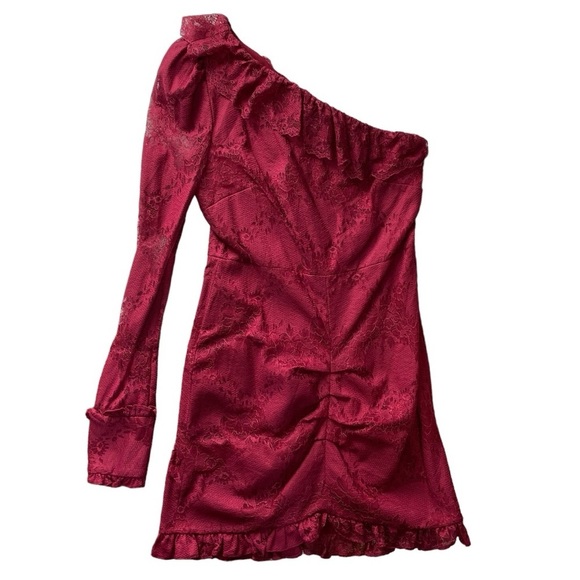 Alexis Ilana Lace Mini One Shoulder Dress - Picture 9 of 15